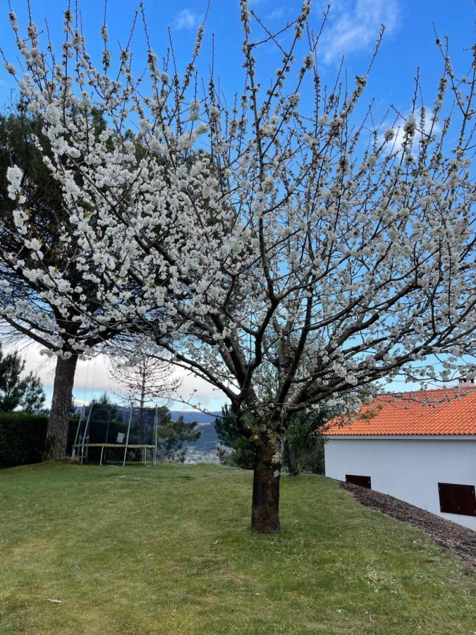 Casa Catita - Douro Villa Baião Exteriör bild